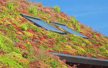 East Bierley living roof systems