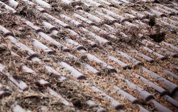 East Bierley roof cleaning companies